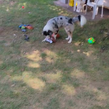 Let's get ready to rumble 3