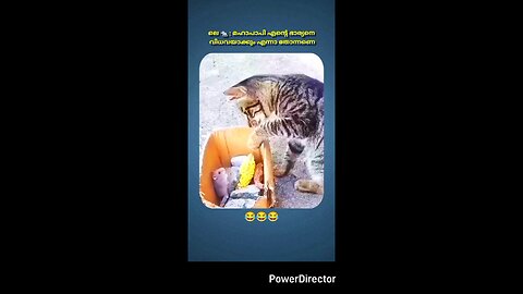 Tom and Jerry Malayalam
