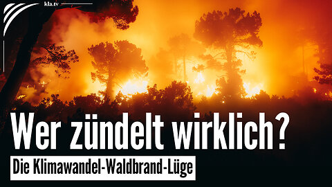 Die Klimawandel-Waldbrand-Lüge