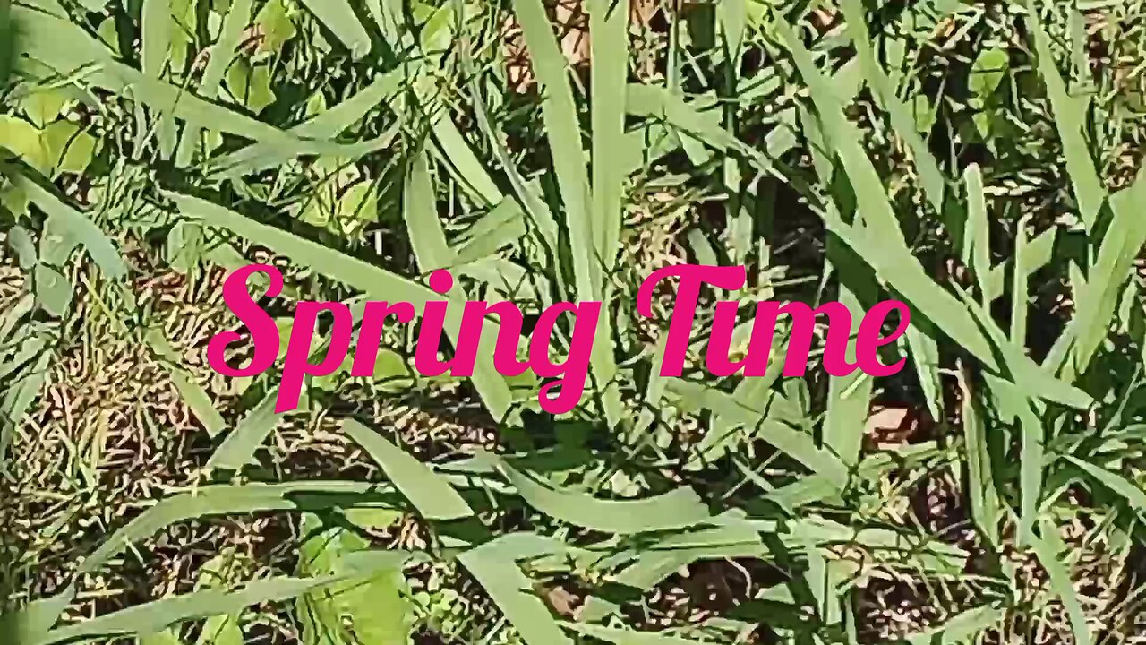 Springtime is Here! (original)