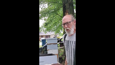 🐝Changen da Shungite Feeder box🐝