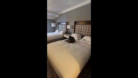 Room 138 Bayfront Hilton St Augustine