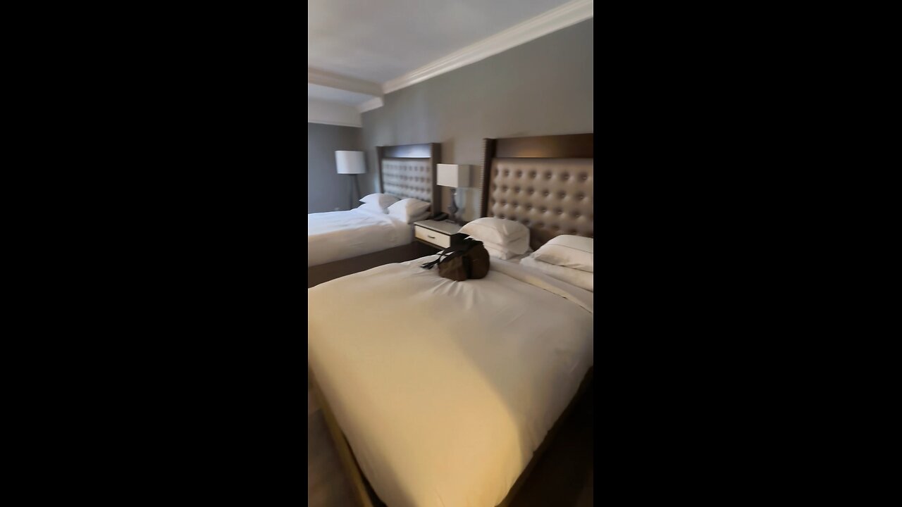 Room 138 Bayfront Hilton St Augustine