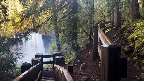 (4K UHD) HIKING Ice Cap Campground Day Use Picnic Area! | Sahalie Koosah Falls Loop | McKenzie River