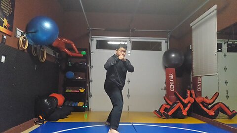 WTD 2 Step Kick Combination 99