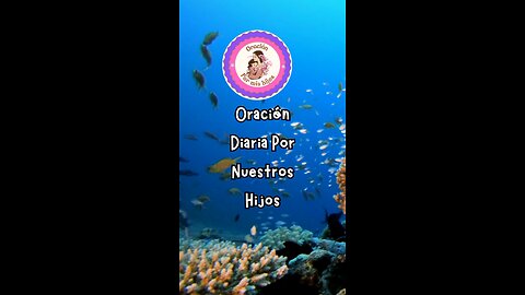 Oración Diaria por nuestros hijos 🙏