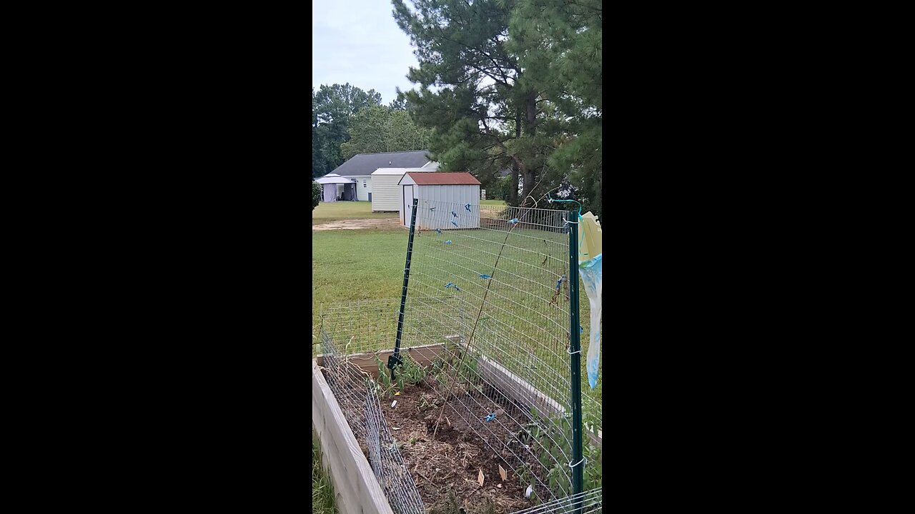getting ready for fall crops