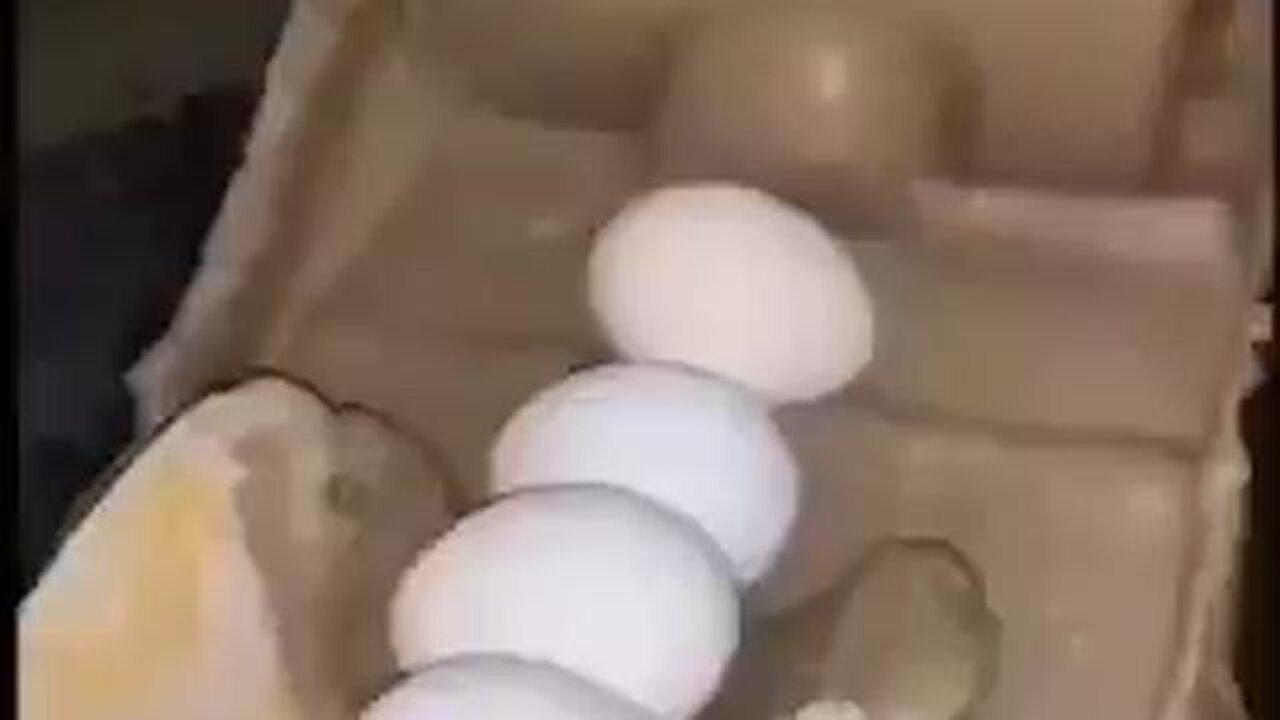 Be Careful Where You Get Your Eggs