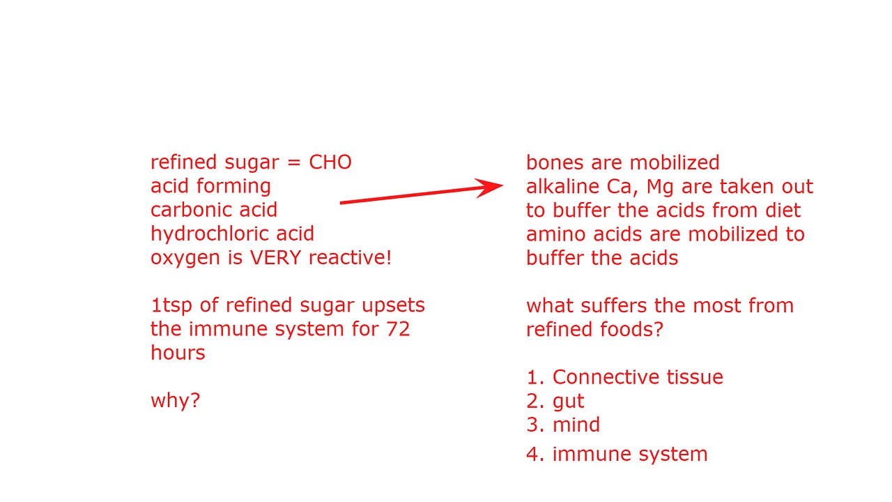 Craig Lane Health Alkemy - Munchies Explained and ParaDom (huh?)