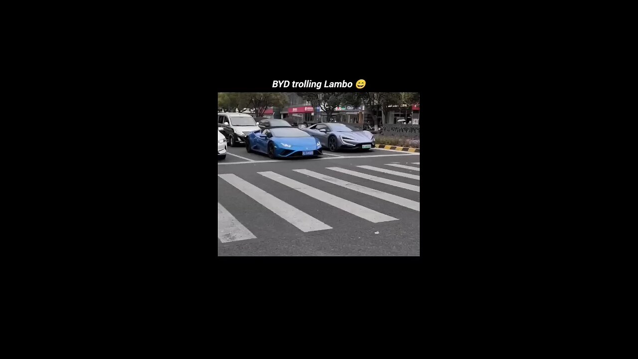 byd trolling lamborghini