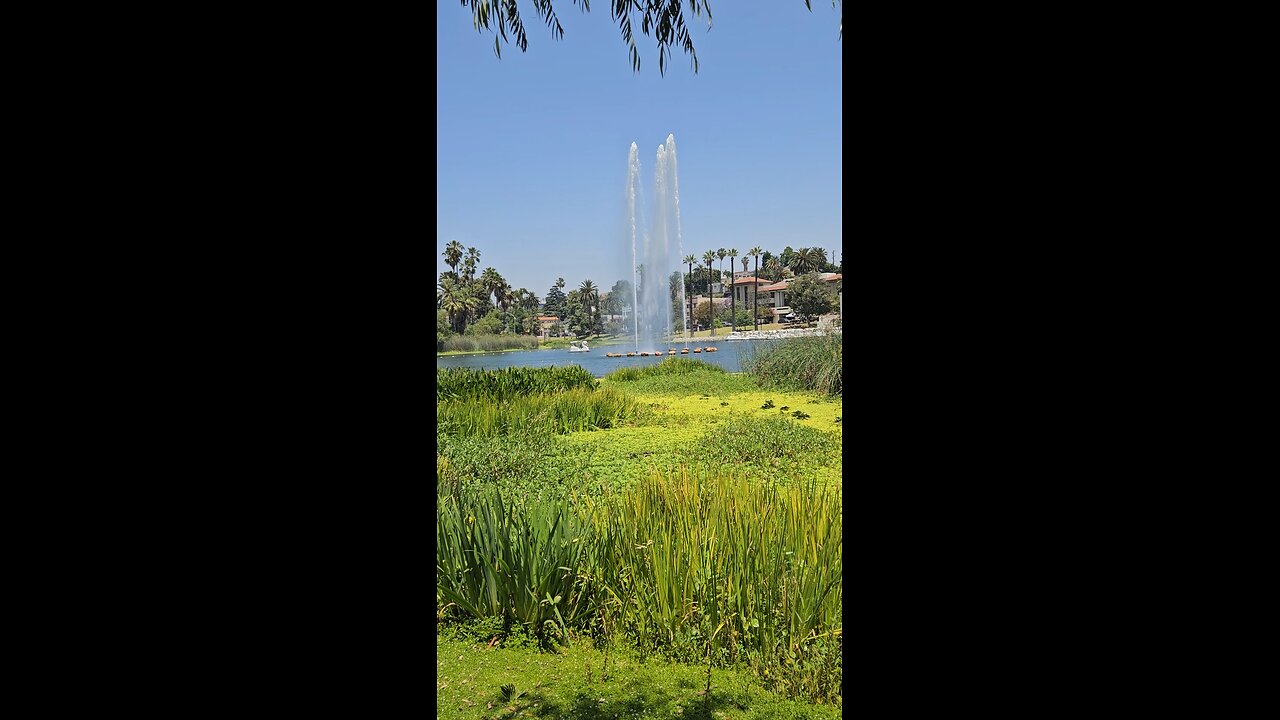 Sunday afternoon 😁🐱