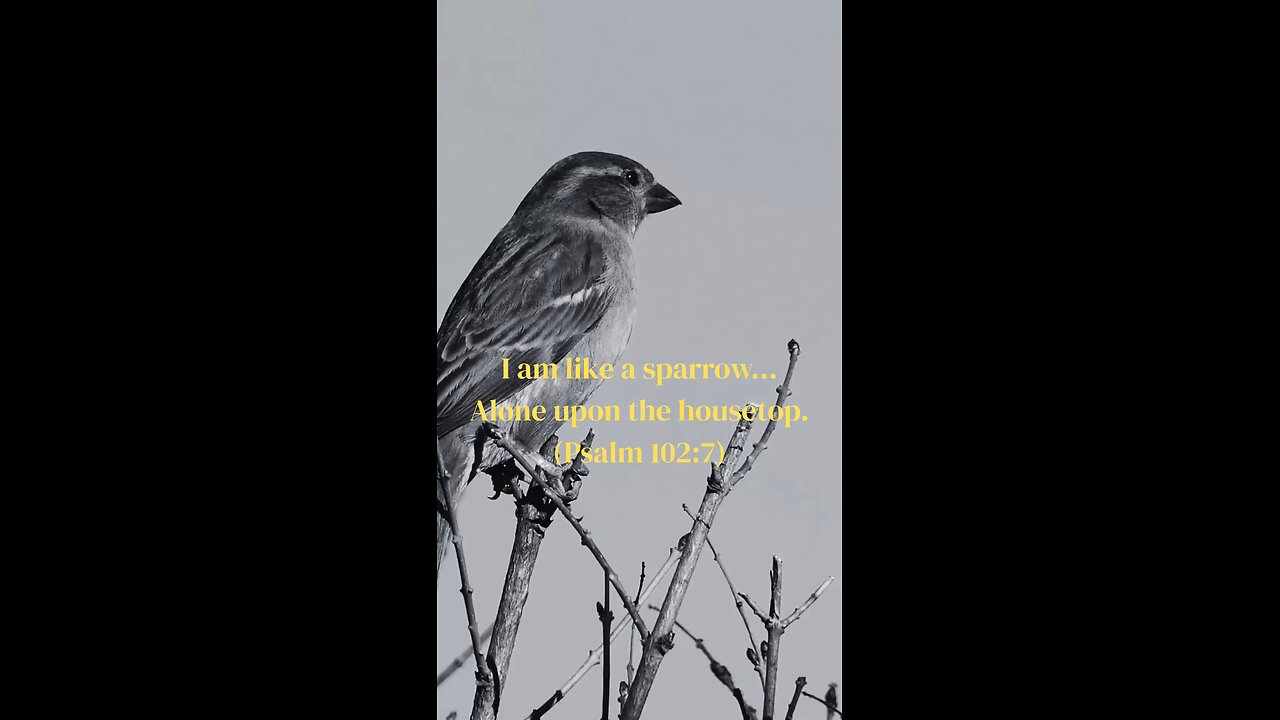 Overhearing Heaven’s Conversation (1-Minute Insight)