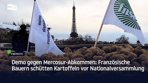 Demo gegen Mercosur-Abkommen: Französische Bauern schütten Kartoffeln vor Nationalversammlung