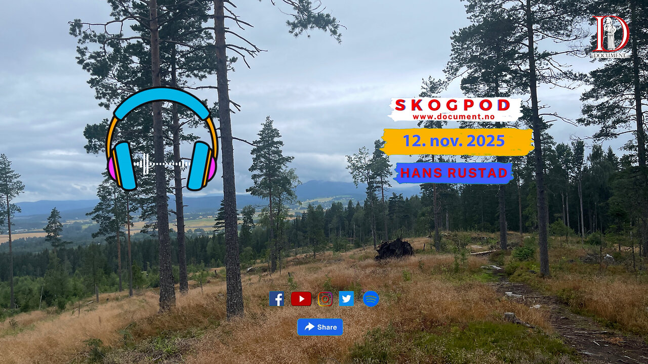 Skogpod 12. november 2025