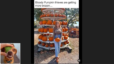 Memes That Will 99.0435% Make You Laugh. (e659)