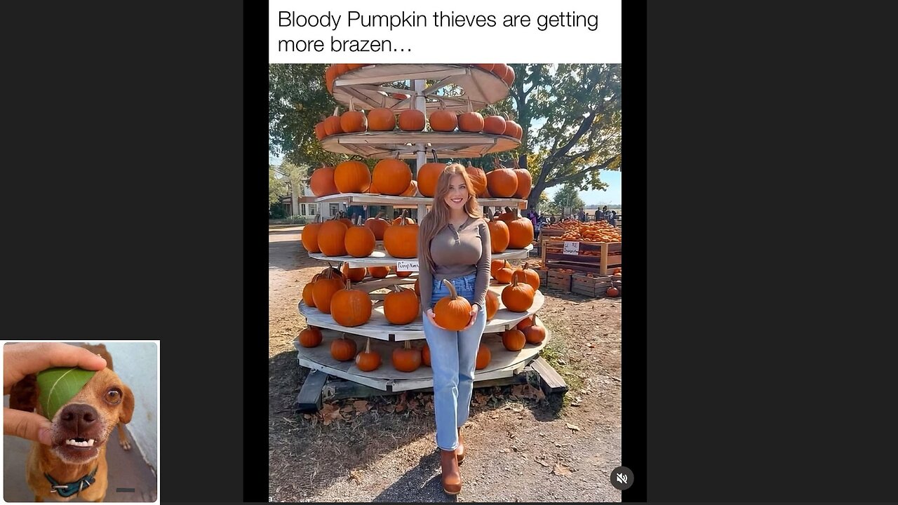 Memes That Will 99.0435% Make You Laugh. (e659)