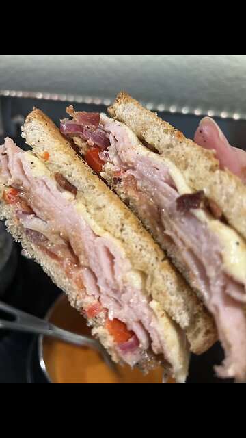 Homemade Turkey Healthy sandwich