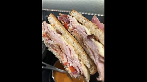 Homemade Turkey Healthy sandwich