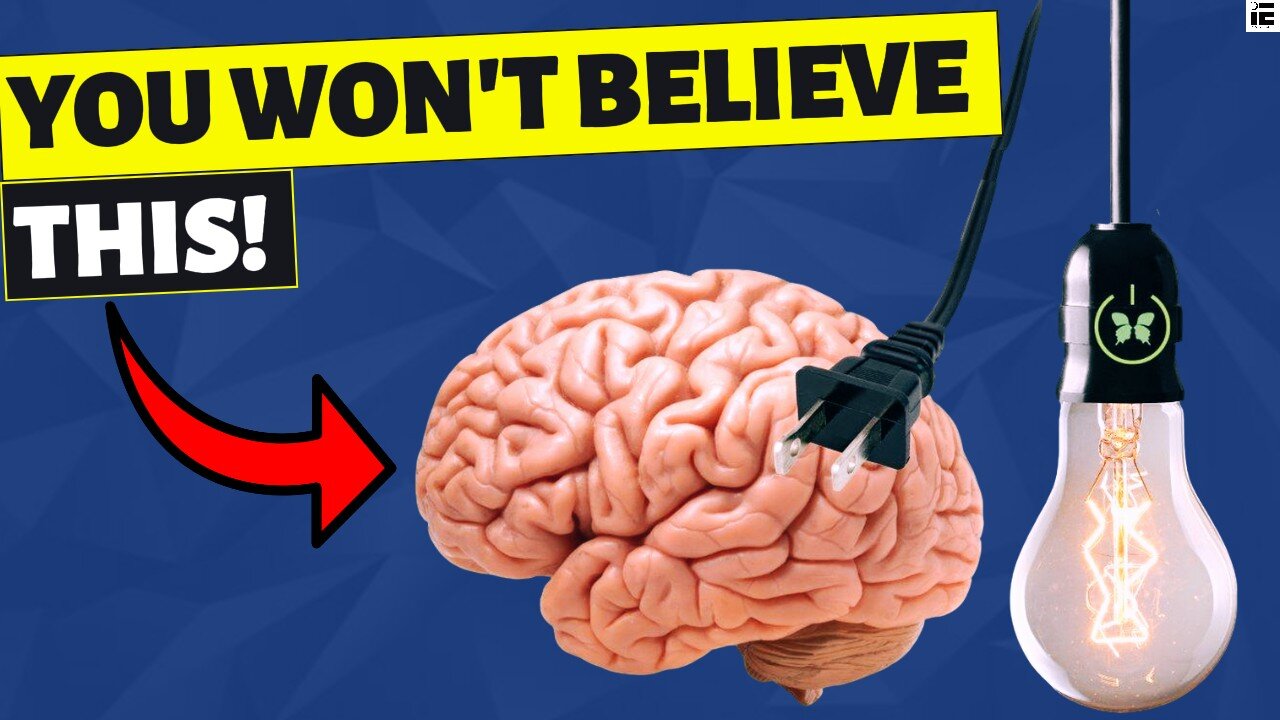 Genius of the Human Body: Fascinating Facts You Didn’t Know