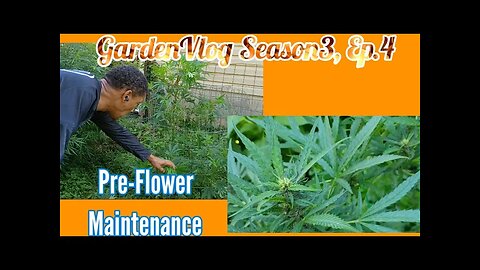 Clip of GardenVlog Season 3, Ep.4