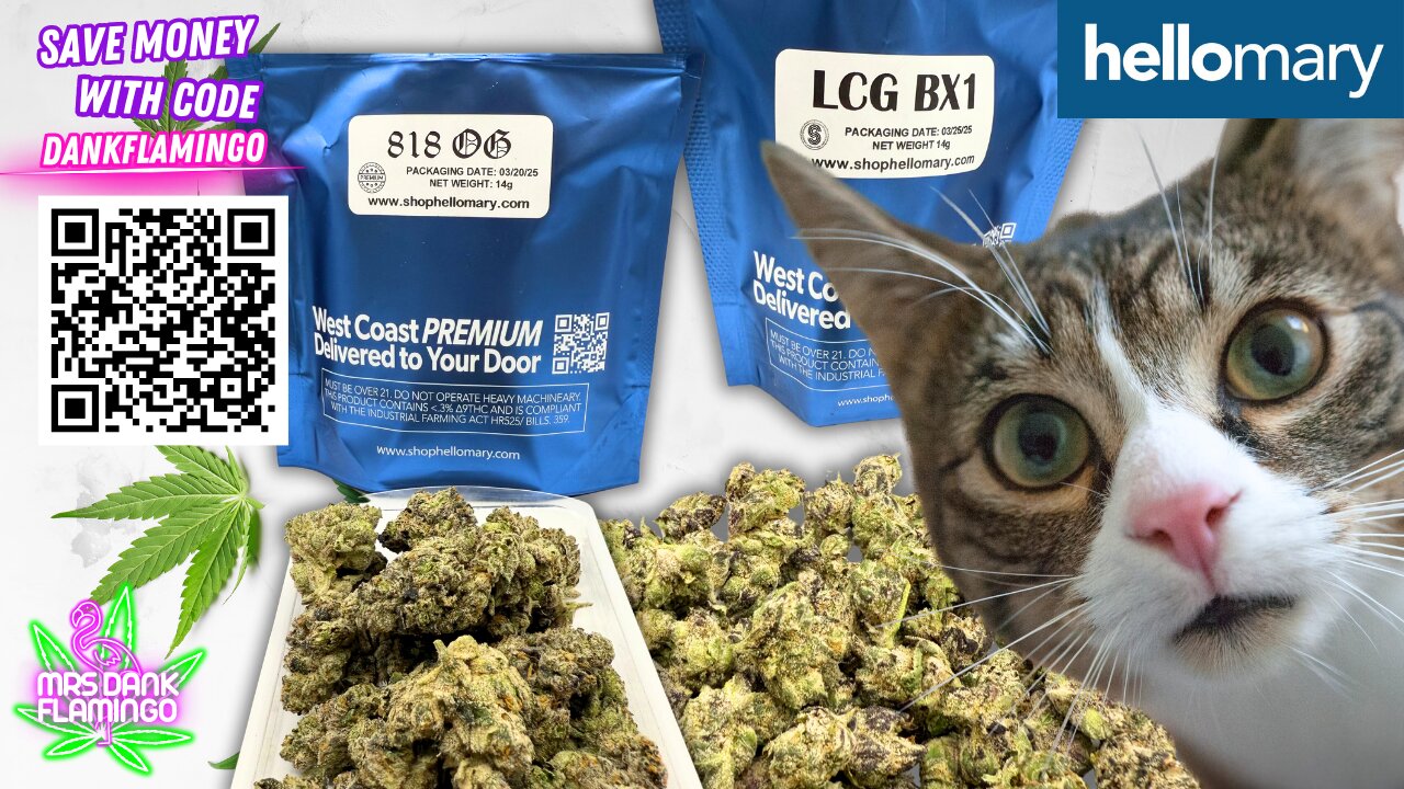 LCG Bx1 or 818 OG Premium/ Which one is better from Shop Hello Mary? Mrs Dank Flamingo Review!!
