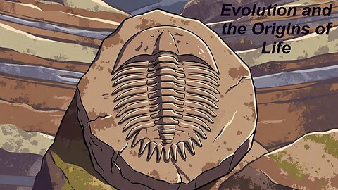 Evolution and the Origins of Life (Apologetics and Polemics Crash Course Pt 2)