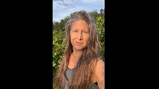 Muscadine Grape Picking In The Evening Florida Heidi Rose