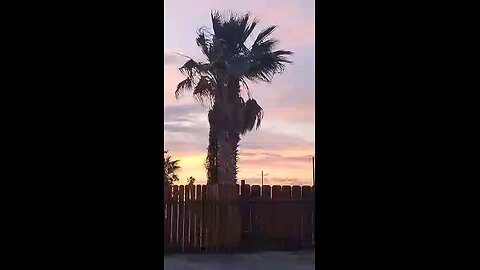 29 Palms, CA