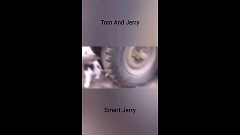 Tom And Jerry