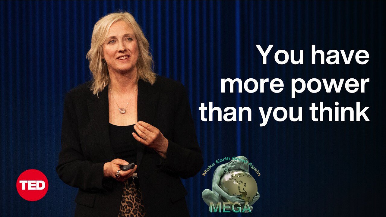 This Is What a Digital Coup Looks Like | Carole Cadwalladr | TED