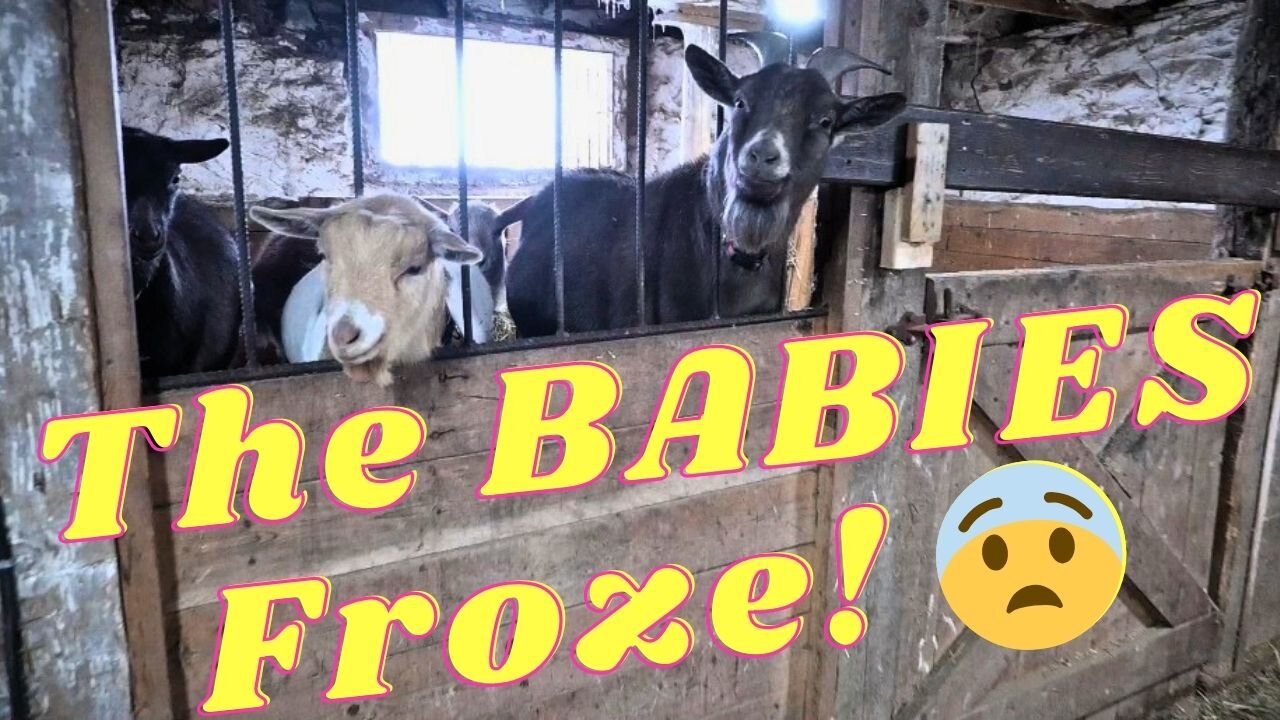 My BIGGEST Winter FEAR!