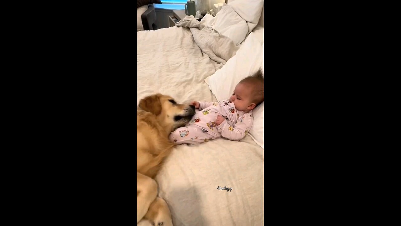 baby