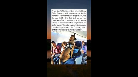 Marine K9 Honored Mid-Flight