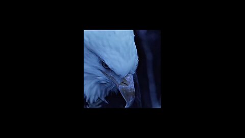 🦅