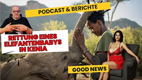 rettung eines elefantenbabys in kenia #news #goodnews #deutsch #tiere #hund #animals #hunde