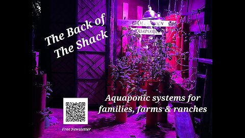 The Shack Memorial Day 2025
