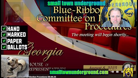 Georgia Blue Ribbon election Study - my take