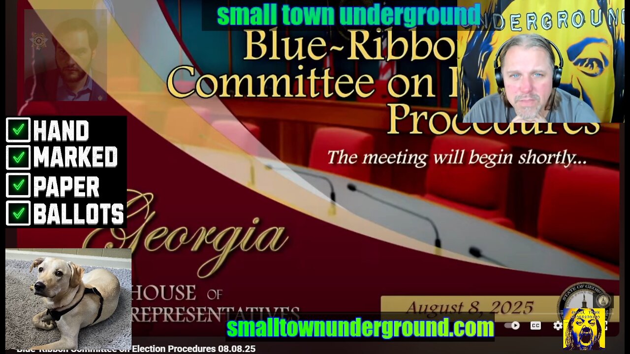 Georgia Blue Ribbon election Study - my take