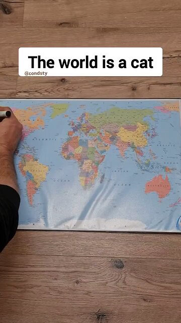 Tired of the news Cat ch this