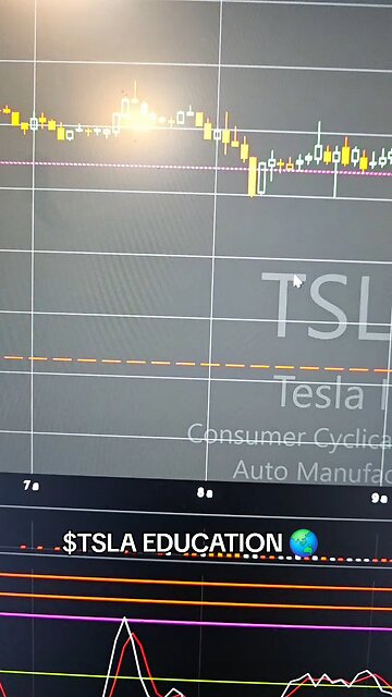 $TSLA🌏