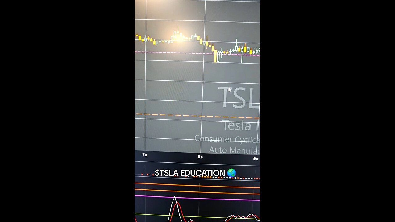 $TSLA🌏