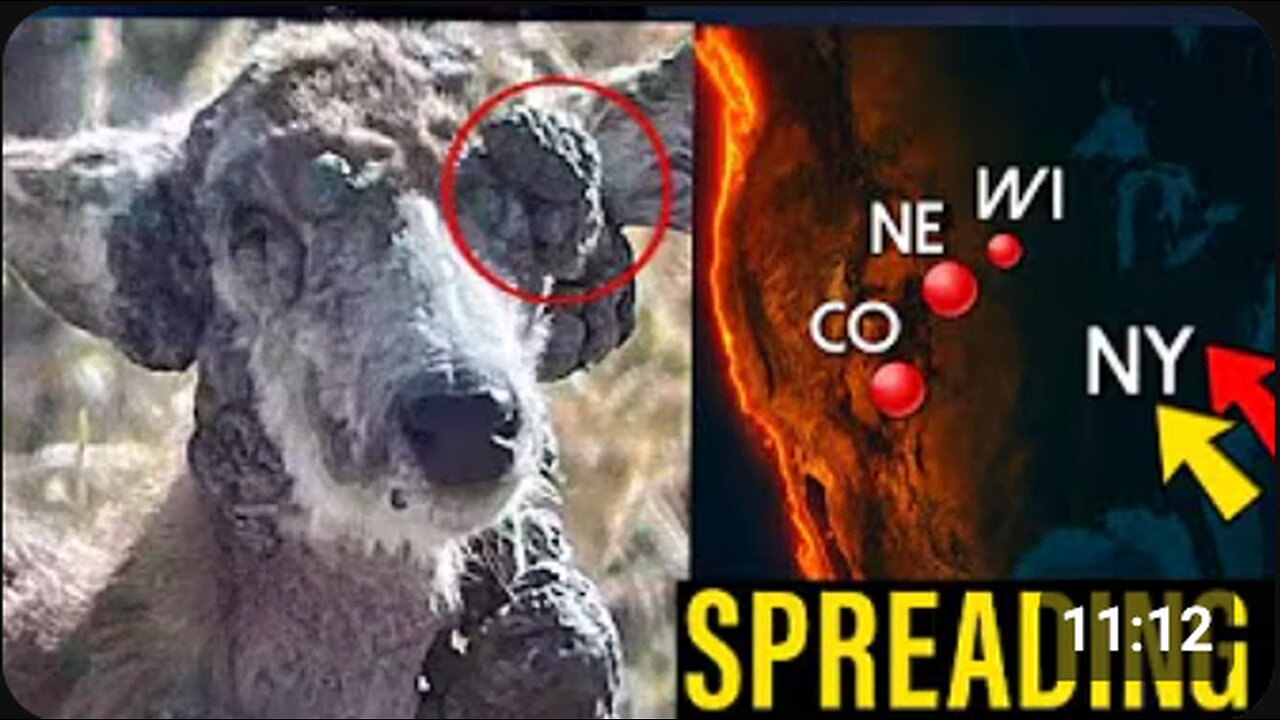 Animals Mutating Everywhere — Something’s Going On