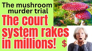 Who 'decides' a trial goes for nine weeks? Those getting paid of course.
