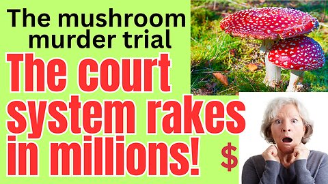 Who 'decides' a trial goes for nine weeks? Those getting paid of course.