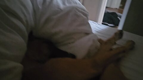 Arm day people! my morning routine.