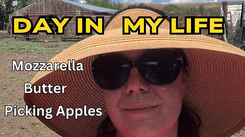 Spend a Day with Me: Day 1