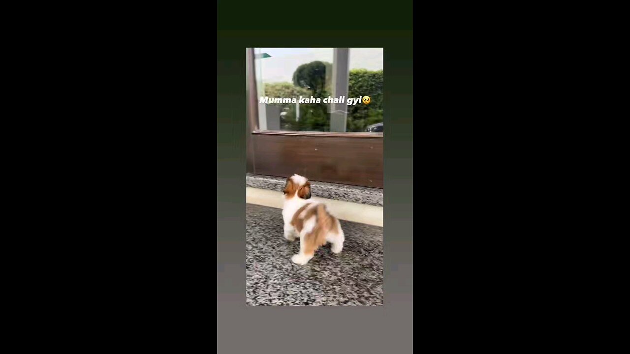 मैरी मम्मा कहा गई