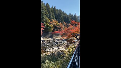 Beautiful River