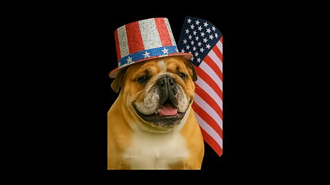 MAGA Merch Shameless Plug / Red, Rights & You