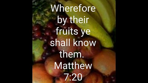 Sunday Talk with Jamal Matthew 7:20 "by their fruits" #WelfareFraud #somalis #J6bomber 7/Dec/25